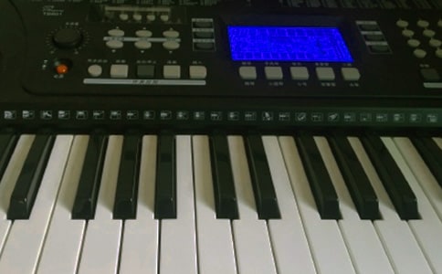 ����ѧ����������