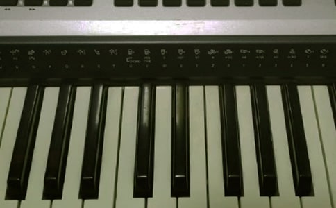 电子琴作文精华【15篇】