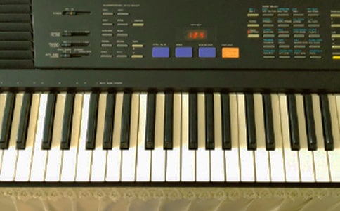 我的电子琴作文