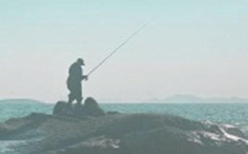 【精品】钓鱼作文4篇