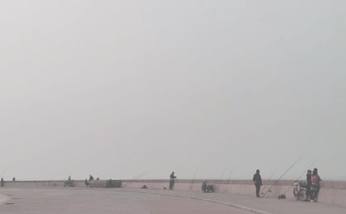 钓鱼看图写话作文