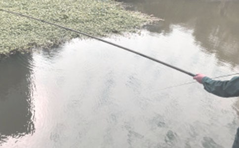 看图写话钓鱼作文