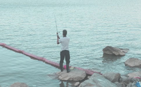 ���������ʾ������С���ȫ15ƪ��