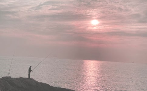 《钓鱼的启示》读后感