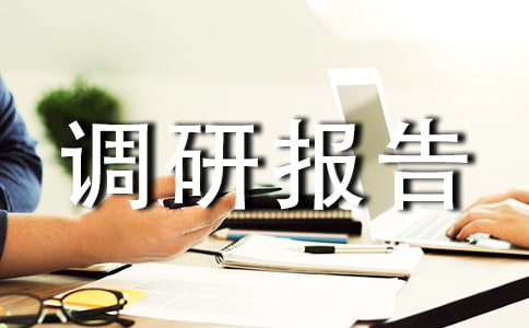 文案调研报告