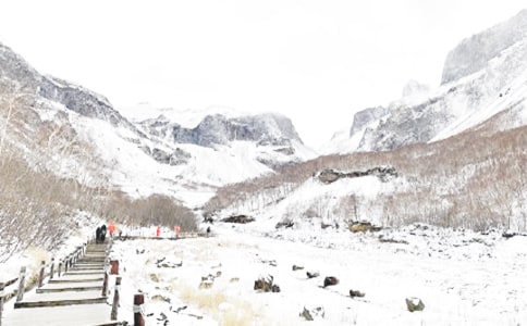 ������ȫ�ĵ����