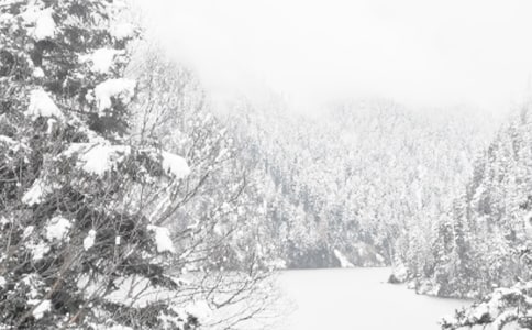 ����д������