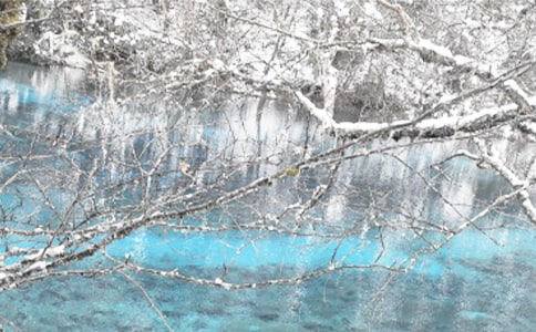 冬季越野赛作文