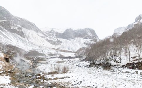 �ﶬ��Ԥ����Ⱦ���ĵ����