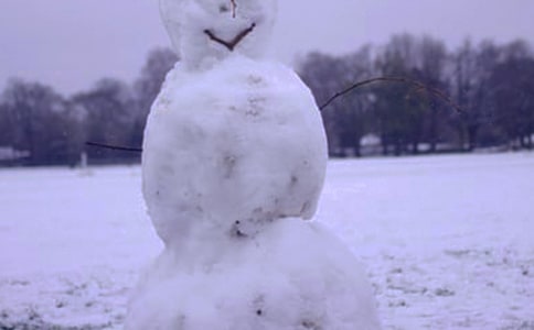 【实用】《济南的冬天》读后感5篇