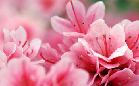 ��д�ž黨�ľ���