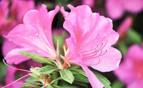 �ž黨����[��15ƪ]