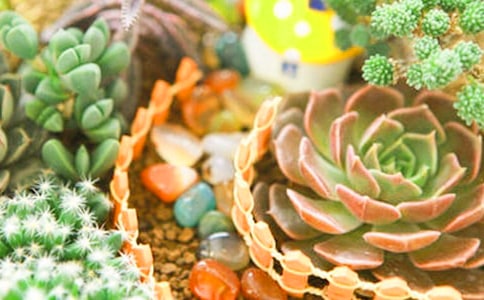 ���ڶ��������