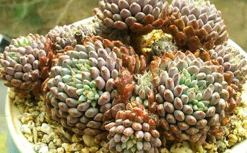 ����۲��ռ�