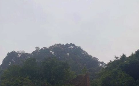 �ζ�üɽ�ĵø���