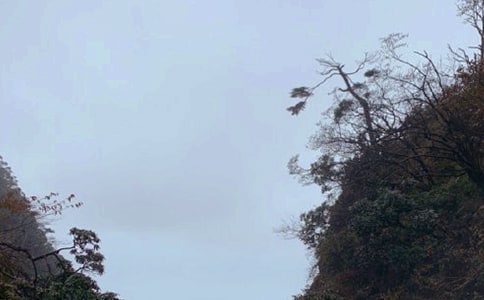 ��üɽ֮������