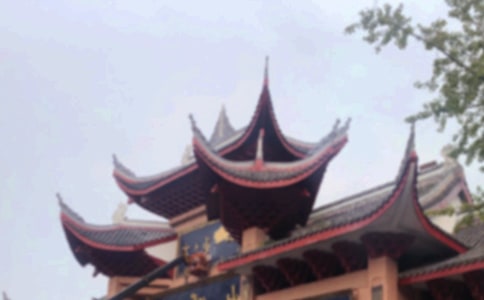 �ζ�üɽ����15ƪ