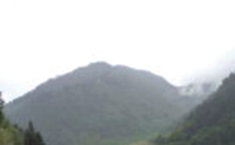 �ζ�üɽ���ġ��Ƽ���