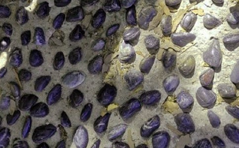 ����һ�Ŷ���ʯ����15ƪ[��]