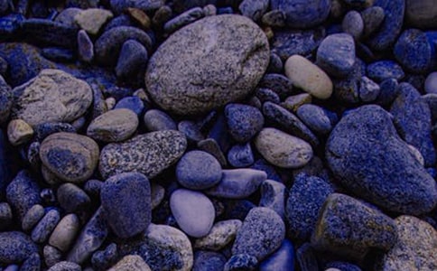 鹅卵石作文12篇