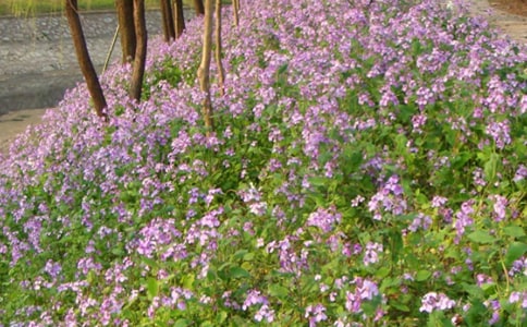 [��]����������7ƪ