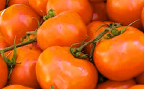 �����ѳ�������(5ƪ)