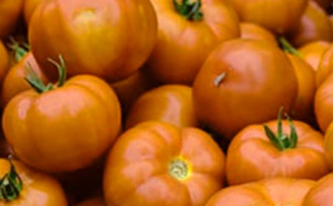 �����ѳ�������(15ƪ)