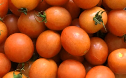 做番茄炒蛋作文