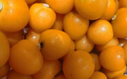 番茄炒蛋作文【精】