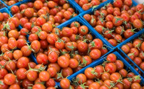 С��������(11ƪ)