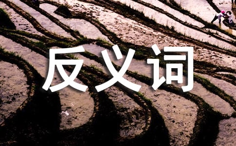 肯定的反义词及造句