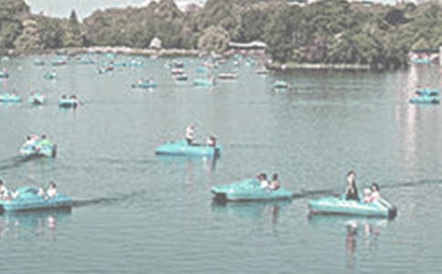 书海泛舟作文(6篇)