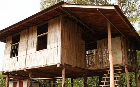 未来的房子作文14篇(精)