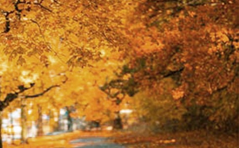 ��������·�ϵķ羰����7ƪ