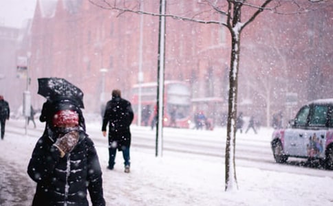 暴风雪作文(集合7篇)