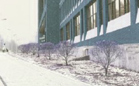 �Է�ѩ��ɣ�����л�֮��