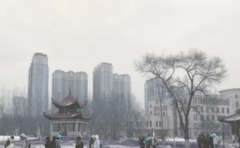 ����ѩ����9ƪ