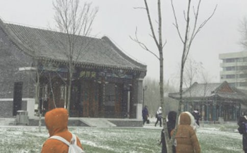 ��ѩ����600��