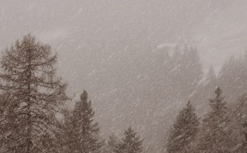 《风雪中的一课》阅读答案