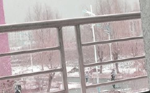 风雪中的青松作文