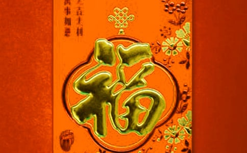 参观福利院作文