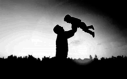 读《父爱没有力学》有感