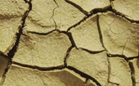 西南干旱的启示作文