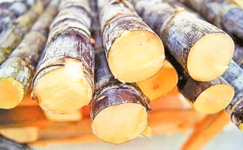 有关甘蔗的作文集锦