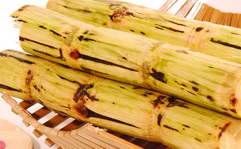 ����ѡ�����������15ƪ