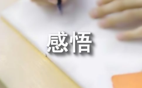 感悟和成长心得