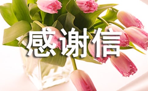 感谢信任支持的句子