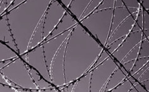 钢铁,是这样炼成的作文(5篇)