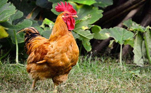 ���ȡ��ö��Ĺ�������