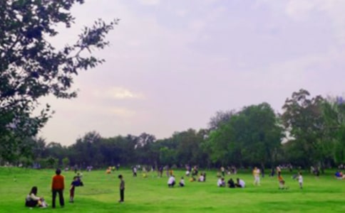 ��԰��������